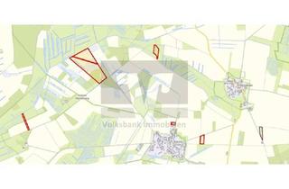 Immobilie kaufen in 38465 Brome, 24 ha Acker, 1,7 ha Grünland und 5 ha Wald - Raum Trippigleben