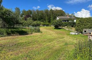 Einfamilienhaus kaufen in 67806 Rockenhausen, Familienparadies in ruhiger Nachbarschaft - Bauplatz inklusive