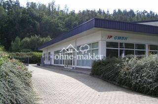 Büro zu mieten in 07980 Berga, Vielseitiges Gewerbe mit Büros geeignet für Ecommerce, Autohandel, Werkstatt und Produktionsflächen