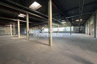 Büro zu mieten in Wiewittel 14, 32584 Löhne, Produktions-und Lagerhalle ca. 1600m/2 + 200m/2 Büro/Whg. in Löhne Gohfeld nähe B611/A30/A2