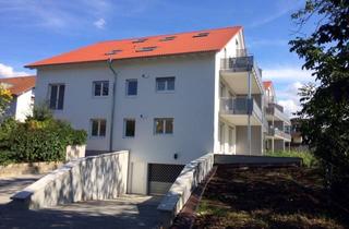 Wohnung mieten in 79227 Schallstadt, Vor den Toren Freiburgs: tolle Wohnung mit Lift