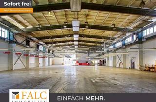 Büro zu mieten in 19230 Hagenow, Flexible Gewerbehalle für unterschiedliche Nutzungskonzepte