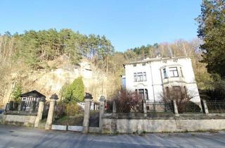Haus kaufen in 01814 Rathmannsdorf, Familienidyll mit Garten, 5 Garagen und 5 Freistellplätzen in Rathmannsdorf
