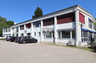 Büro zu mieten in 68167 Mannheim, Gewerbefläche am Neckarufer Nähe Uniklinik: stadtnah - lichtdurchflutet - flexibel nutzbar !