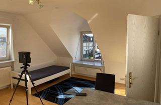 Wohnung mieten in 85368 Moosburg, Exklusive, gepflegte 1-Raum-Dachgeschosswohnung mit EBK in Moosburg an der Isar