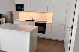 Wohnung mieten in 65618 Selters, Neubau DG-Wohnung mit zwei Zimmern und Balkon in Selters (Taunus)