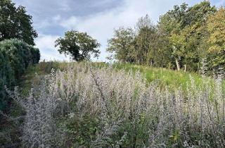 Grundstück zu kaufen in 52372 Kreuzau, **Grundstück mit Baugenehmigung, Bodengutachten und Hausentwurf!**