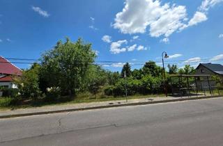 Grundstück zu kaufen in Ahornstraße, 16230 Melchow, Heinze-Immobilien (IVD): Großzügiges Baugrundstück in ruhiger Siedlungsstraße