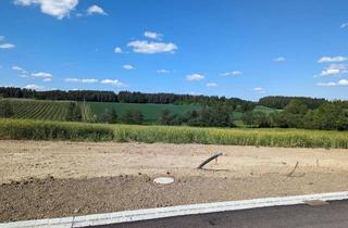 Grundstück zu kaufen in 84072 Au, Schönes Baugrundstück mit unverbauten Blick ins Grüne