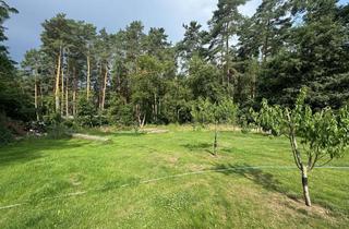 Grundstück zu kaufen in Chursachsenstraße, 14822 Borkwalde, Baugrundstück in zweiter Reihe, Borkwalde