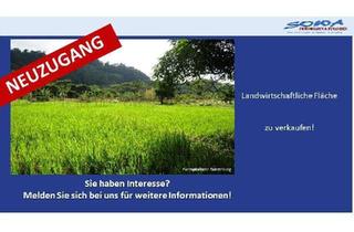 Gewerbeimmobilie kaufen in 89428 Syrgenstein, Großzügige Landwirtschaftsfläche oder Ausgleichsfläche zu verkaufen in Syrgenstein - Ein Objekt v...