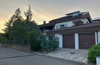 Wohnung mieten in Altenbergweg, 74360 Ilsfeld, Frisch sanierte Erdgeschosswohnung in ruhiger Lage