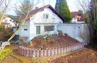Haus mieten in Rückersfelder, 57250 Netphen, Netphen-OT: Einfamilienhaus mit Apartment und Doppelgarage und drei Stellplätze zu vermieten!
