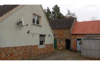 Haus kaufen in 06895 Zahna-Elster, Zahna-Elster - Haus für Handwerker