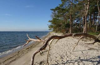 Doppelhaushälfte kaufen in 18574 Garz, Garz/Rügen - Haus auf Rügen jetzt sofort zu verkaufen - dicht an der Ostsee
