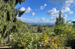 Wohnung kaufen in 94575 Windorf, ***Der Natur so nahe - ruhiges und idyllisches Domizil***