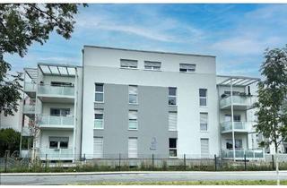 Penthouse mieten in Heidelberger Straße 71 C, 64584 Biebesheim, 4 Zimmer Penthouse Wohnung in Biebesheim am Rhein