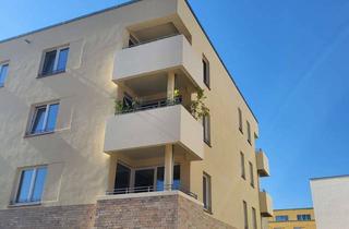 Wohnung mieten in Speicherstraße, 17489 Innenstadt, Wohnglück mit Garten – perfekt für Paare