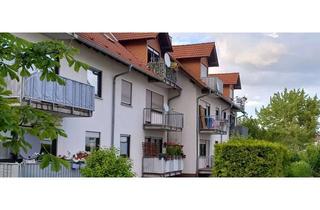 Wohnung mieten in 55232 Alzey, Gepflegte 2-Raum-Wohnung mit Balkon in Alzey