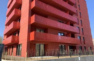 Wohnung mieten in Robert-Havemann-Straße, 53121 Dransdorf, 4-Zimmer-Wohnung in Bonn Endenich, Erstbezug im Neubau