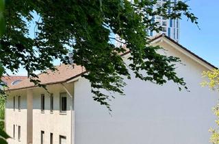 Mehrfamilienhaus kaufen in 79540 Lörrach, Mehrfamilienhaus auf ca. 3.000 m2 großem Grundstück