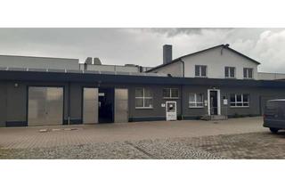 Büro zu mieten in Freiherr-Vom-Stein-Straße 21, 99734 Nordhausen, Gewerberäume - Bürofläche mit Lager / als Werkstatt geeignet