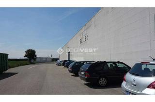 Büro zu mieten in 48455 Bad Bentheim, Halle mit Büro und großzügige Freifläche an der A30!