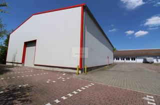 Büro zu mieten in 74211 Leingarten, Moderne, stützenfreie Lagerhalle mit ca. 620 m² Gesamtfläche, Büroeinheit und bis zu 50 Stellplätzen