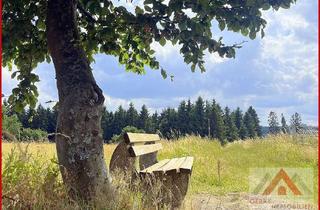Grundstück zu kaufen in 59964 Medebach, Ihre Chance auf etwas Seltenes - Großes Baugrundstück mit Ferienvermietungsoption