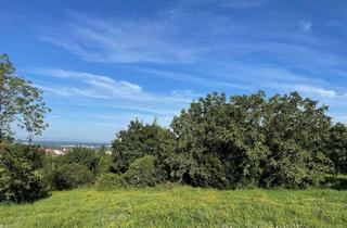 Grundstück zu kaufen in 77886 Lauf, Lauf - Wohnbaugrundstück mit Aussicht!
