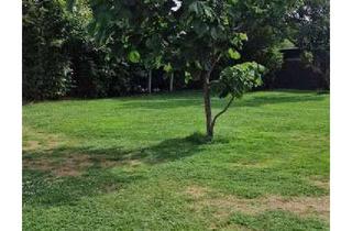 Grundstück zu kaufen in 04838 Jesewitz, Bauträgerfreies Grundstück in begehrter Wohnlage