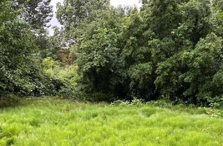 Grundstück zu kaufen in 38108 Schunteraue, Traumlage mit unverbaubarem Blick!