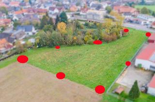 Grundstück zu kaufen in 77866 Rheinau, Projektgrundstück in Rheinau - Baugrund für Neun EFH´s ideal für Bauträger o. Projektentwickler