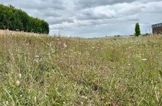 Grundstück zu kaufen in Neubaugebiet "Birkenfeld", 74343 Sachsenheim, Grundstück in herrlicher Lage - provisionsfrei erwerben -