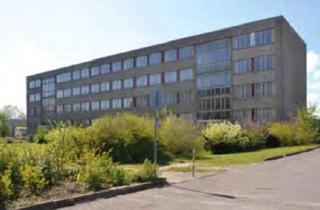 Gewerbeimmobilie kaufen in Stoltenhäger Straße 42, 18507 Grimmen, +++Bürogebäude mit Entwicklungspotenzial im Gewerbegebiet Grimmen+++