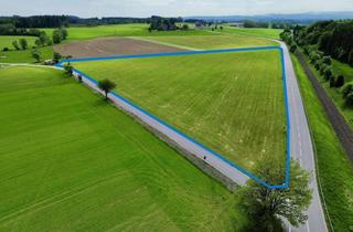 Gewerbeimmobilie kaufen in 88364 Wolfegg, Grünlandfläche in verkehrsgünstiger Lage bei Wolfegg Ideal für landwirtschaftliche Nutzung