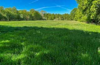 Gewerbeimmobilie kaufen in 27412 Tarmstedt, Großzügige Wiesen- & Waldflächen – Vorwerk bei Buchholz, Bremen