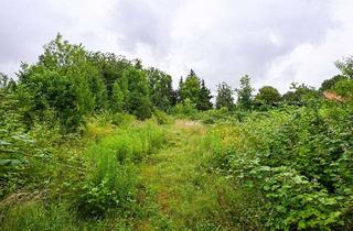 Gewerbeimmobilie kaufen in 31174 Schellerten, Schellerten: Baugrundstück mit Altbestand - vielseitige Nutzungsmöglichkeiten!