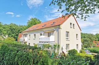 Wohnung kaufen in 17454 Zinnowitz, großzügige Eigentumswohnung im Ostseebad Zinnowitz