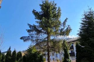 Wohnung kaufen in 83435 Bad Reichenhall, Bad Reichenhall, nähe KARLSPARK ruh. große 4 Zi-EG-Whg,+Hobbyraum,, Parkett, sep.Wc, Terr, Garten