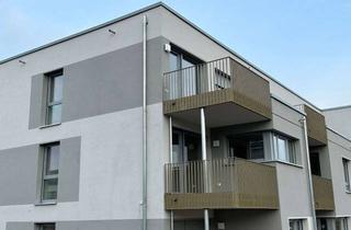 Wohnung mieten in 30974 Wennigsen, Erstbezug - Neubau 3 ZKB und Balkon