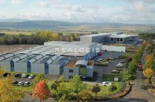 Gewerbeimmobilie mieten in 99820 Hörselberg-Hainich, Ca. 7.400 m² | Lager- / Produktionsfläche zu vermieten | Kranbahn 20t