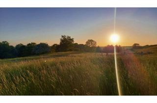 Grundstück zu kaufen in 19412 Brüel, Ruhe genießen beim Sonnenuntergang