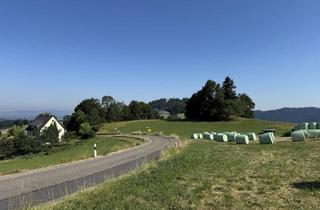 Wohnung kaufen in 79289 Horben, Wertbeständig investieren – komfortabel wohnen: 6 hochwertige Neubauwohnungen