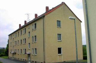 Wohnung mieten in Leubnitzer Straße 31, 08539 Mehltheuer, Kurzexposé 501003/31/3