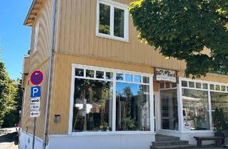 Haus kaufen in 38644 Goslar, Goslar - Wohn und Geschäftshaus in Hahnenklee mit 2 Ferienwohnungen