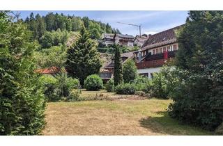 Haus kaufen in Dorfstr. 29, 31, 77776 Bad Rippoldsau-Schapbach, Bad Rippoldsau-Schapbach - Mehrzweckimmobilie