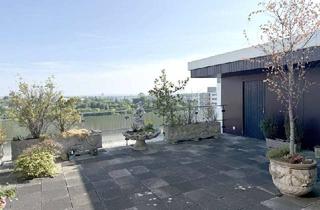 Penthouse kaufen in 51149 Finkenberg, Penthouse über den Dächern von Porz