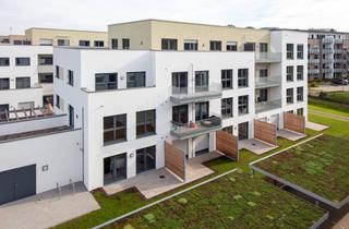 Penthouse mieten in 49090 Eversburg, Moderne Penthouse-Wohnung mit lichtdurchflutetem Wohnambiente