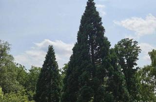 Wohnung mieten in 73553 Alfdorf, Großzügige 4-Zimmer-Dachgeschoss-Wohnung mit Balkon